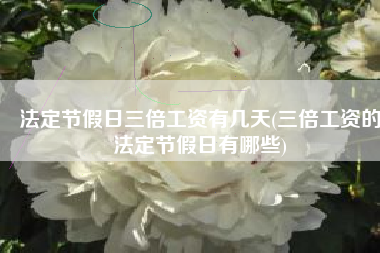 法定节假日三倍工资有几天(三倍工资的法定节假日有哪些)