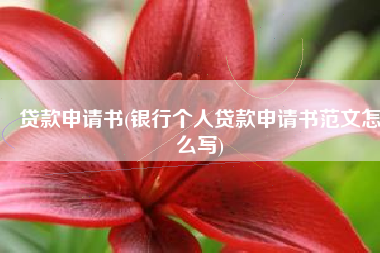 贷款申请书(银行个人贷款申请书范文怎么写)