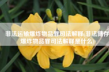 非法运输爆炸物品罪司法解释(非法储存爆炸物品罪司法解释是什么)