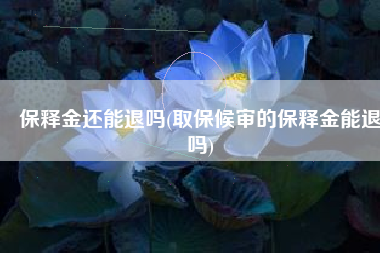 保释金还能退吗(取保候审的保释金能退吗)