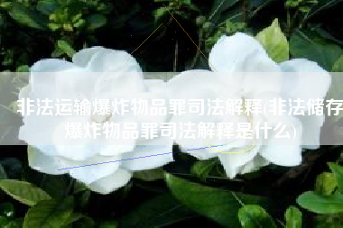 非法运输爆炸物品罪司法解释(非法储存爆炸物品罪司法解释是什么)