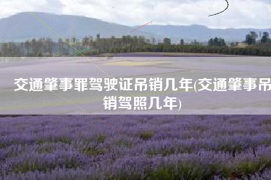 交通肇事罪驾驶证吊销几年(交通肇事吊销驾照几年)