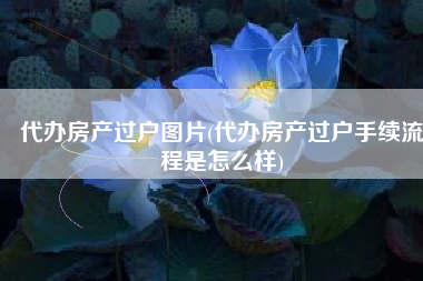 代办房产过户图片(代办房产过户手续流程是怎么样)