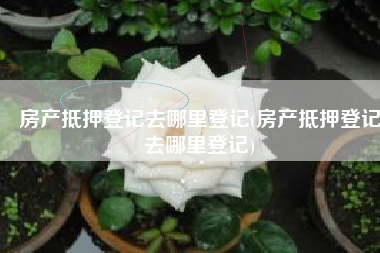 房产抵押登记去哪里登记(房产抵押登记去哪里登记)