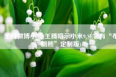 王腾微博小号(王腾暗示小米9 SE会有“布朗熊”定制版)