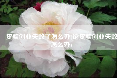 贷款创业失败了怎么办(论贷款创业失败怎么办)