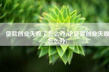 贷款创业失败了怎么办(论贷款创业失败怎么办)