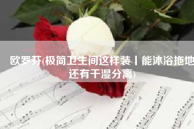 欧罗芬(极简卫生间这样装丨能沐浴拖地还有干湿分离)
