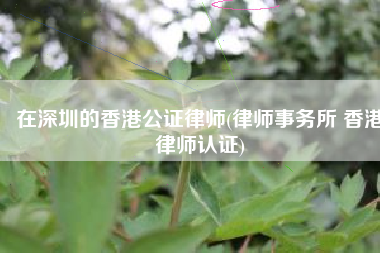 在深圳的香港公证律师(律师事务所 香港律师认证)