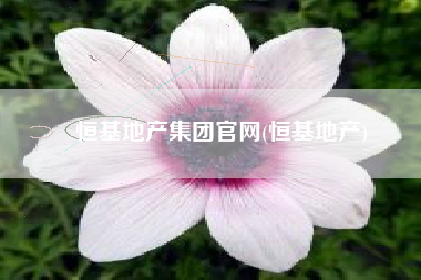 恒基地产集团官网(恒基地产)