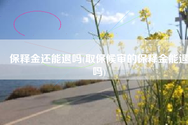 保释金还能退吗(取保候审的保释金能退吗)
