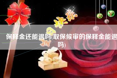 保释金还能退吗(取保候审的保释金能退吗)
