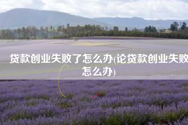 贷款创业失败了怎么办(论贷款创业失败怎么办)
