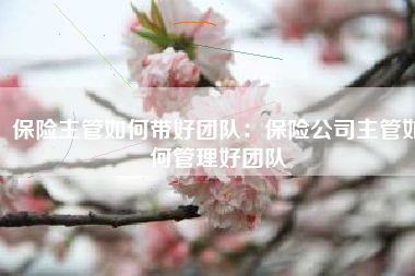 保险主管如何带好团队：保险公司主管如何管理好团队