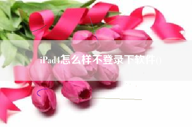 iPad4怎么样不登录下软件()