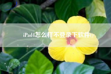 iPad4怎么样不登录下软件()