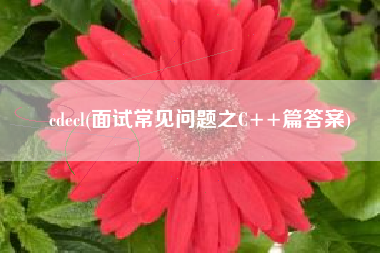cdecl(面试常见问题之C++篇答案)