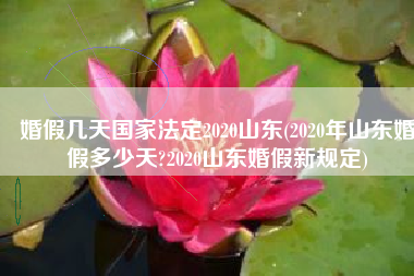 婚假几天国家法定2020山东(2020年山东婚假多少天?2020山东婚假新规定)