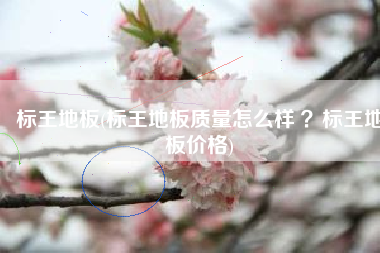 标王地板(标王地板质量怎么样 ？标王地板价格)