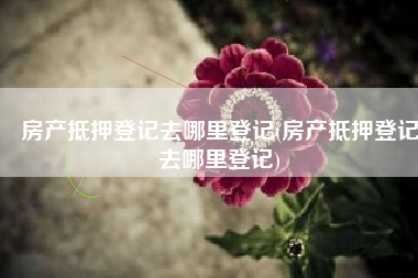 房产抵押登记去哪里登记(房产抵押登记去哪里登记)