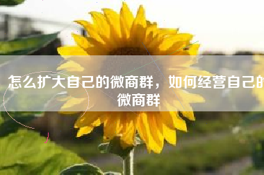 怎么扩大自己的微商群，如何经营自己的微商群