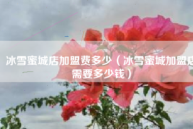 冰雪蜜城店加盟费多少（冰雪蜜城加盟店需要多少钱）