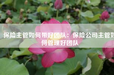 保险主管如何带好团队：保险公司主管如何管理好团队