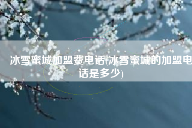 冰雪蜜城加盟费电话(冰雪蜜城的加盟电话是多少)