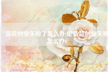 贷款创业失败了怎么办(论贷款创业失败怎么办)