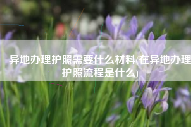 异地办理护照需要什么材料(在异地办理护照流程是什么)