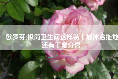 欧罗芬(极简卫生间这样装丨能沐浴拖地还有干湿分离)