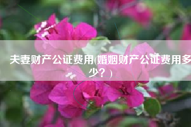 夫妻财产公证费用(婚姻财产公证费用多少？)