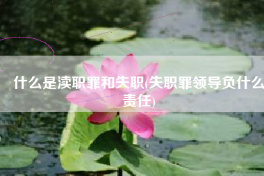 什么是渎职罪和失职(失职罪领导负什么责任)