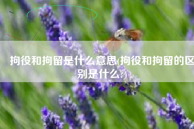 拘役和拘留是什么意思(拘役和拘留的区别是什么?)