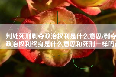判处死刑剥夺政治权利是什么意思(剥夺政治权利终身是什么意思和死刑一样吗)