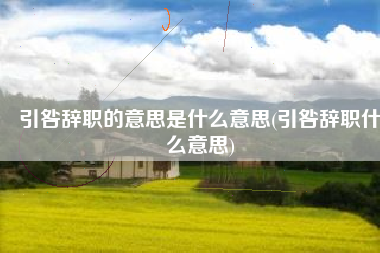 引咎辞职的意思是什么意思(引咎辞职什么意思)