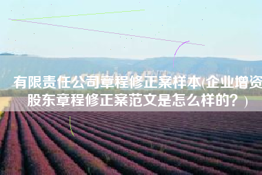 有限责任公司章程修正案样本(企业增资股东章程修正案范文是怎么样的？)