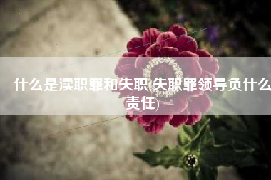 什么是渎职罪和失职(失职罪领导负什么责任)