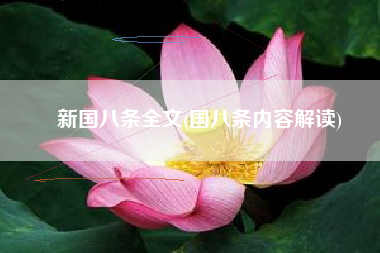 新国八条全文(国八条内容解读)
