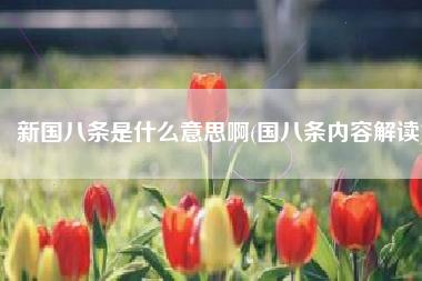 新国八条是什么意思啊(国八条内容解读)