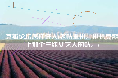 豆瓣论坛怎样进入(老帖重扒。扒扒豆瓣上那个三线女艺人的贴。)