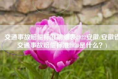 交通事故赔偿标准明细表2022安徽(安徽省交通事故赔偿标准2020是什么？)