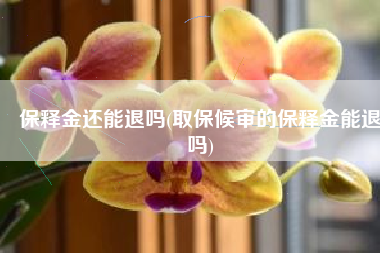 保释金还能退吗(取保候审的保释金能退吗)