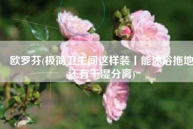 欧罗芬(极简卫生间这样装丨能沐浴拖地还有干湿分离)