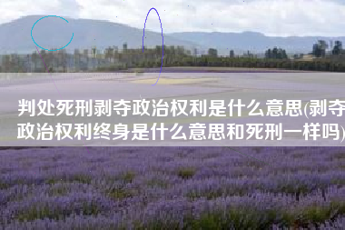 判处死刑剥夺政治权利是什么意思(剥夺政治权利终身是什么意思和死刑一样吗)