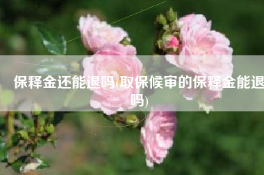 保释金还能退吗(取保候审的保释金能退吗)