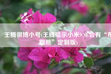 王腾微博小号(王腾暗示小米9 SE会有“布朗熊”定制版)