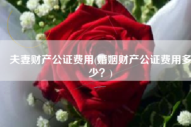 夫妻财产公证费用(婚姻财产公证费用多少？)