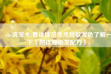 ebv洗发水(蔡徐坤范丞丞同款发色了解一下（附详细染发配方）)