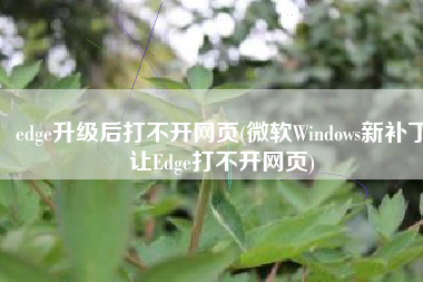 edge升级后打不开网页(微软Windows新补丁让Edge打不开网页)